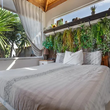 Casa Patas De Patos La Sabinita