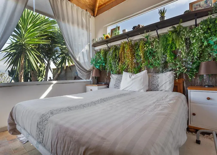 Casa Patas De Patos *